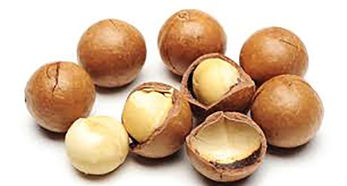 Macadamia Nuts